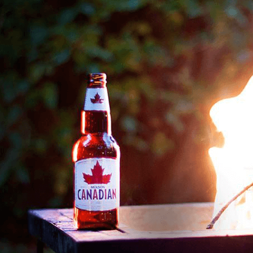 Molson Canadian Beer Bottle near firecamp